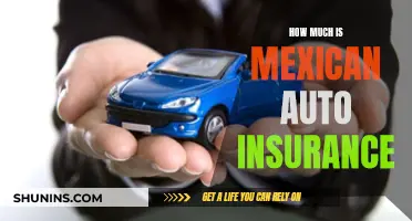 Mexican Auto Insurance: How Much Does it Cost?