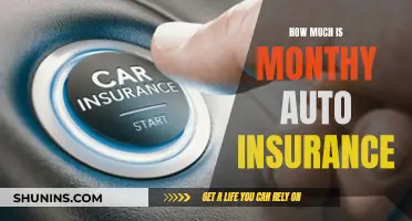 Auto Insurance: Monthly Cost and Coverage Explained