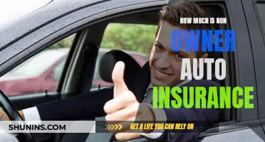 Auto Insurance for Non-Owners: How Much Does It Cost?