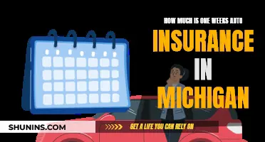 Auto Insurance in Michigan: Weekly Cost Explained