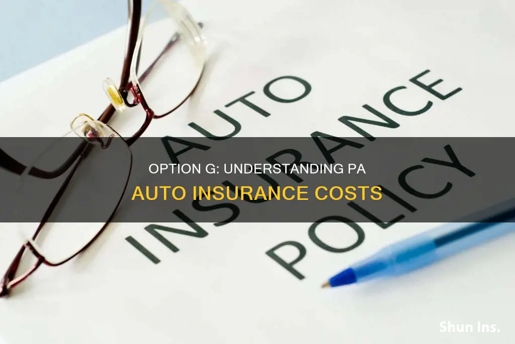 how much is option g pa auto insurance