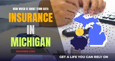 Short-Term Auto Insurance in Michigan: How Much Does It Cost?