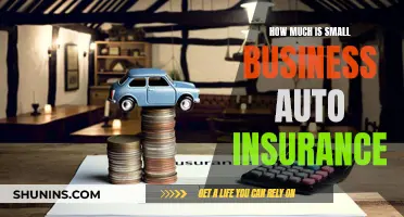 Auto Insurance Costs: What Small Businesses Need to Know