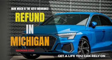 Michigan Auto Insurance: Refund Expectations Explained