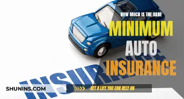 Auto Insurance: What's the Least You Can Get Away With?