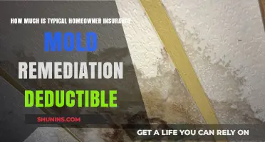 Mold Remediation: Understanding Your Home Insurance Deductible