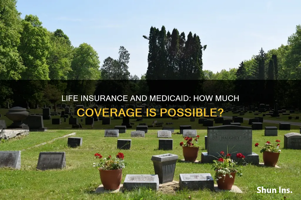how much life insurance can I have on medicaid