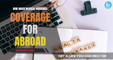 Medical Travel Insurance: Right Coverage for Overseas Trips