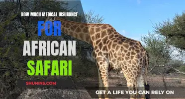 Medical Insurance Essentials for African Safari Trips