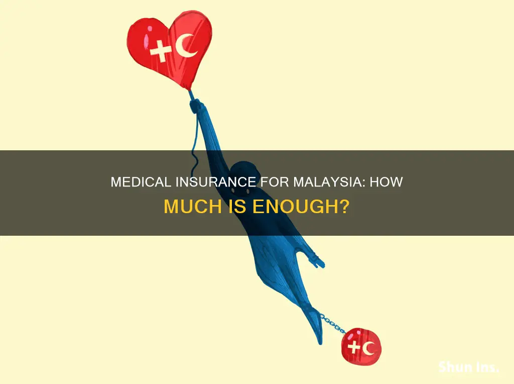 how much medical insurance should one carry when visiting malaysia