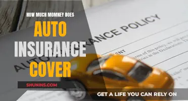 Auto Insurance: Understanding Your Financial Coverage