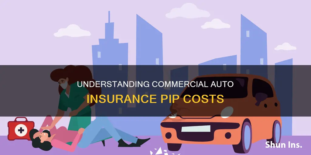 how much more is commercial auto insurance for pip