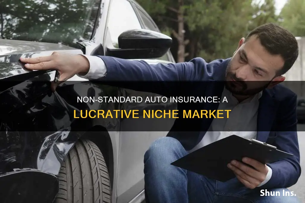 how much of auto insurers make up for non standard