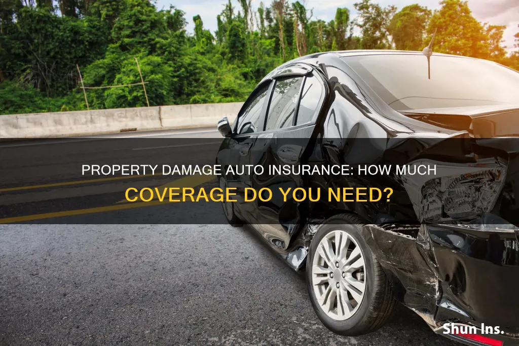 how much property damage auto insurance