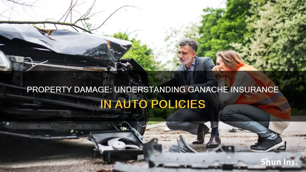 how much property ganache insurance to take on auto policy