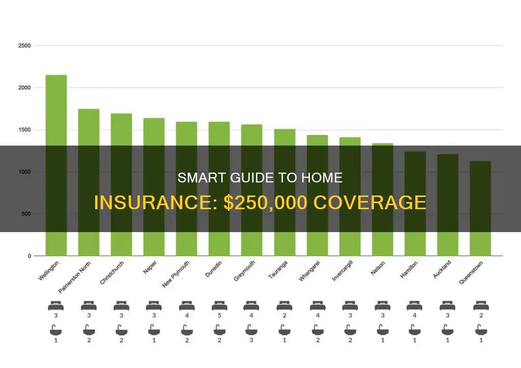 how much should homeowner