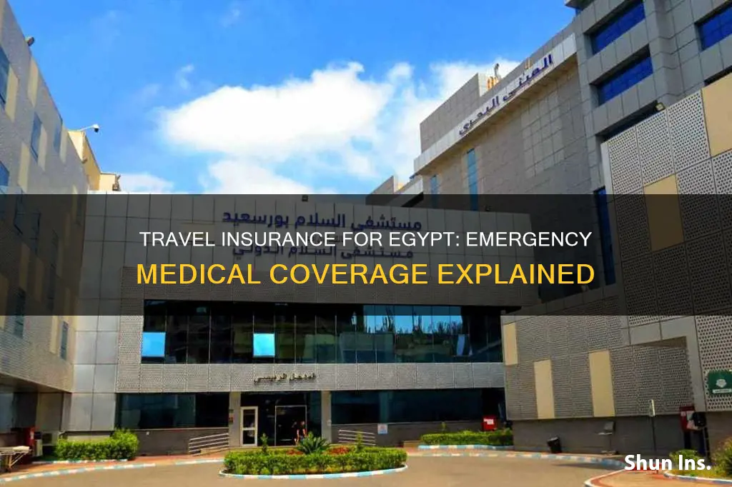 how much travel insurance egypt emergency medical