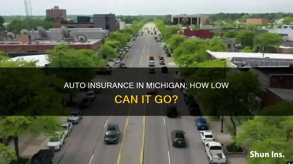 how much will auto insurance go down in Michigan