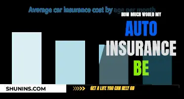 Auto Insurance Costs: What's the Damage?