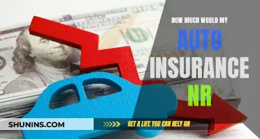 Auto Insurance: Understanding Your Policy Number and Costs