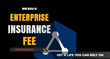 Understanding Enterprise Insurance Fees: Costs and Factors Explained