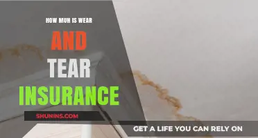 Understanding Wear and Tear Insurance Costs: Is It Worth the Investment?