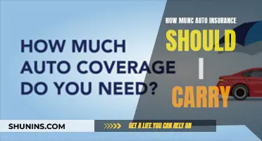 Auto Insurance: How Much Coverage Do You Need?