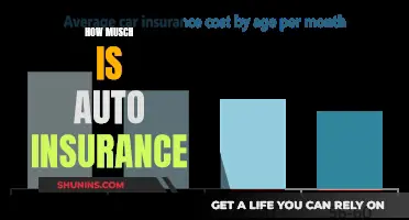 Auto Insurance Costs: How Much Coverage Do You Need?