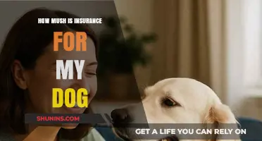 How Much Does Dog Insurance Cost? A Comprehensive Guide
