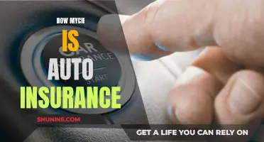 Auto Insurance: How Much Does It Cost?