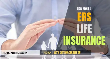 Life Insurance: ERS Cost and Coverage Explained