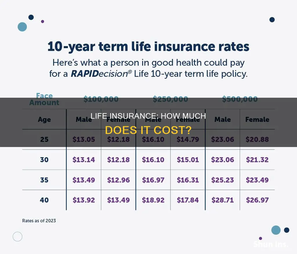 how mych is life insurance