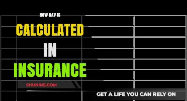 Understanding Insurance NAV Calculation: A Comprehensive Guide for Policyholders