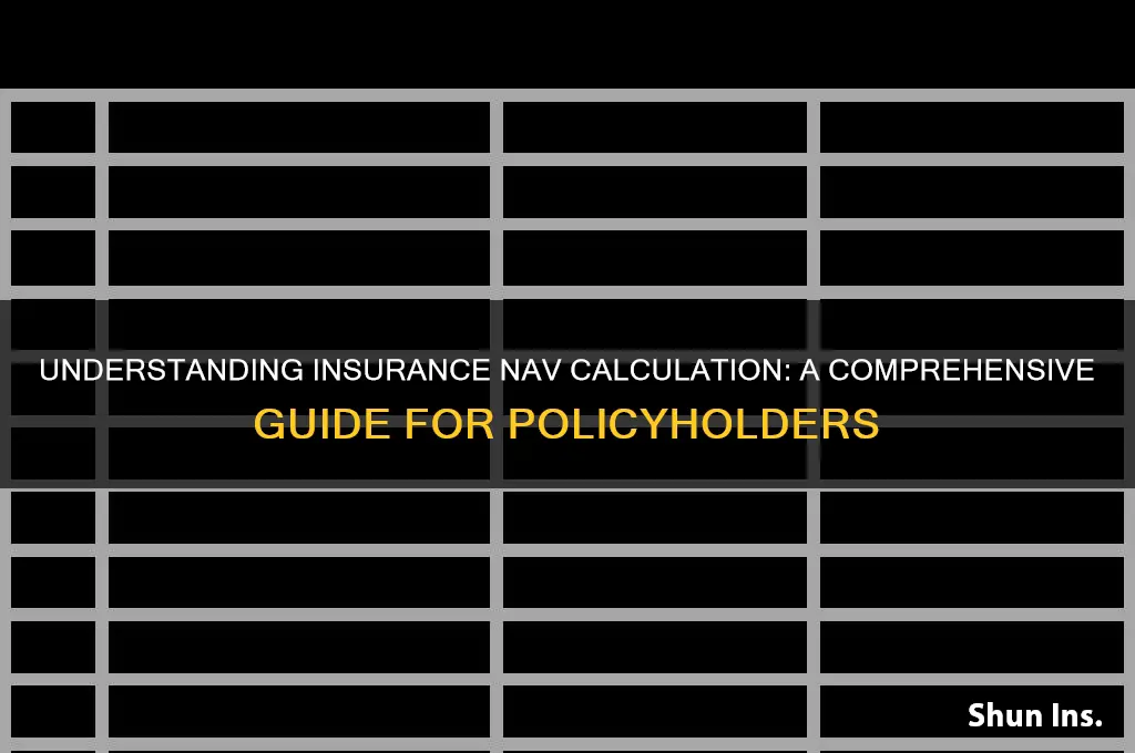 how nav is calculated in insurance