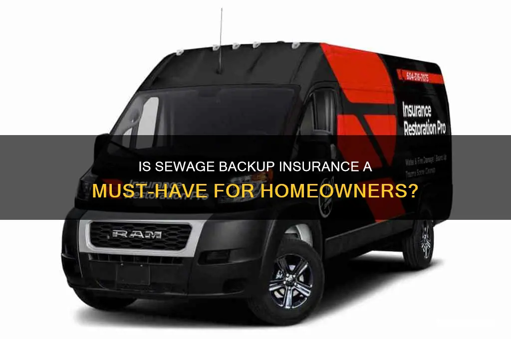 how necessary is sewage back up insurance