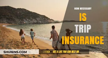 Is Trip Insurance Essential for Your Next Adventure? Find Out Why