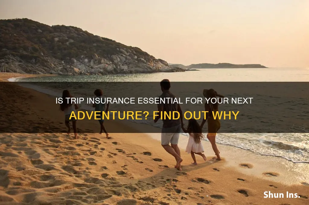 how necessary is trip insurance