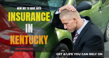 Kentucky Drivers: Avoid Auto Insurance Pitfalls