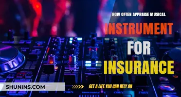 How Often Should You Appraise Your Musical Instrument for Insurance?