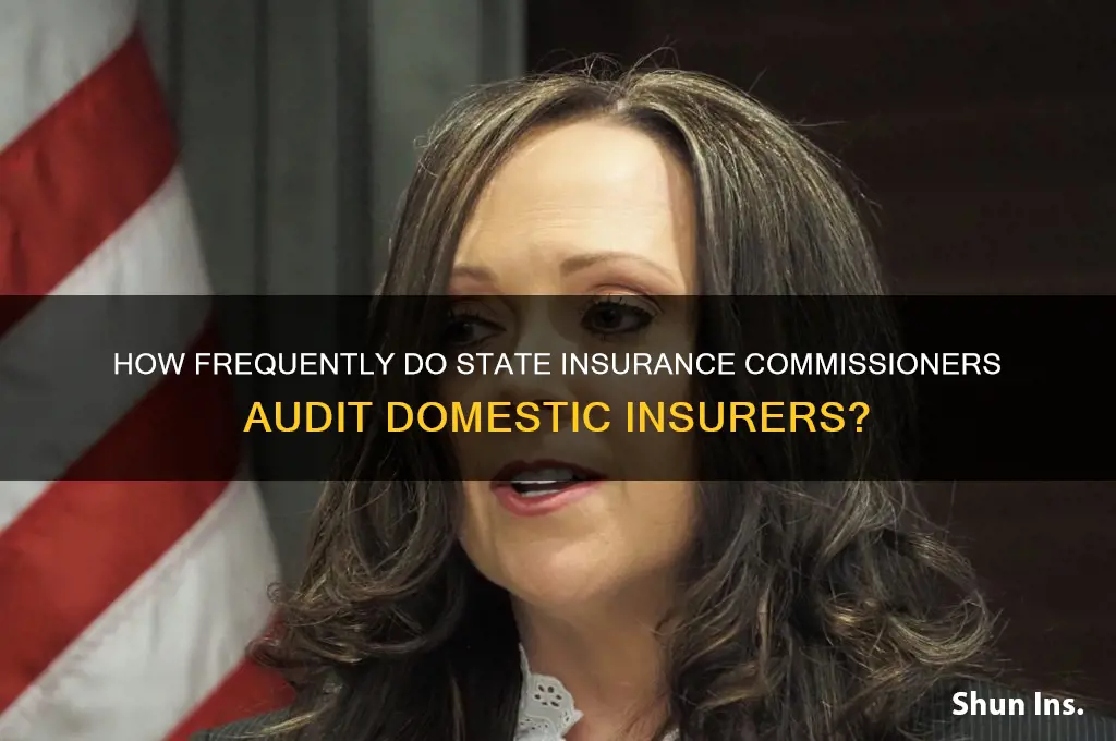 how often are domestic insurers examined by the commissioner