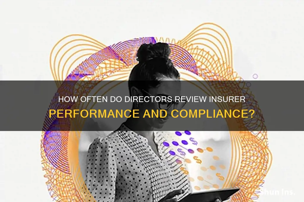 how often do directors examine insurer