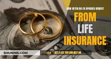 Life Insurance and Divorce: Who Benefits and When?