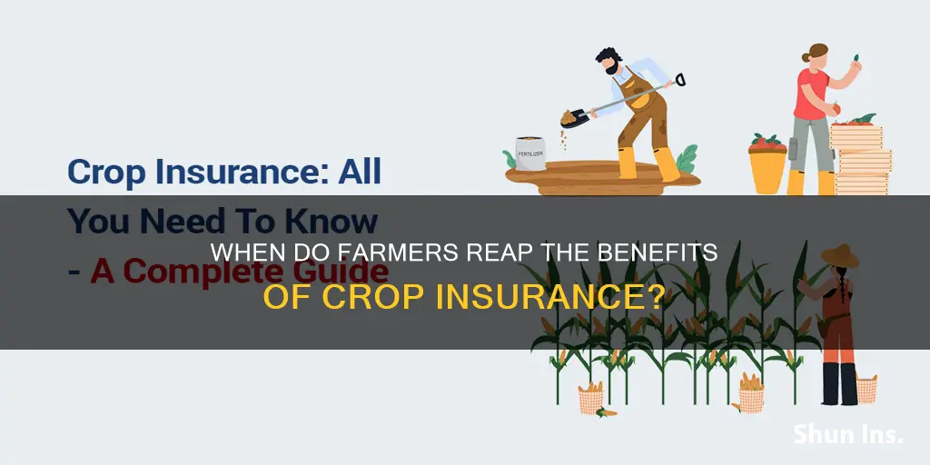 how often do farmers collect on crop insurance