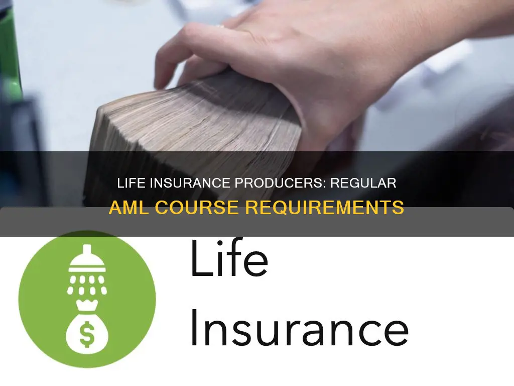 how often do I do aml course life insurance producers