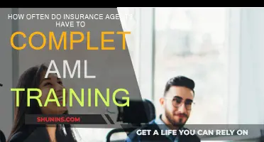Insurance Agents: AML Training Frequency and Requirements