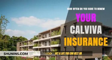 Calviva Insurance Renewal: How Often Should You Update Your Coverage?
