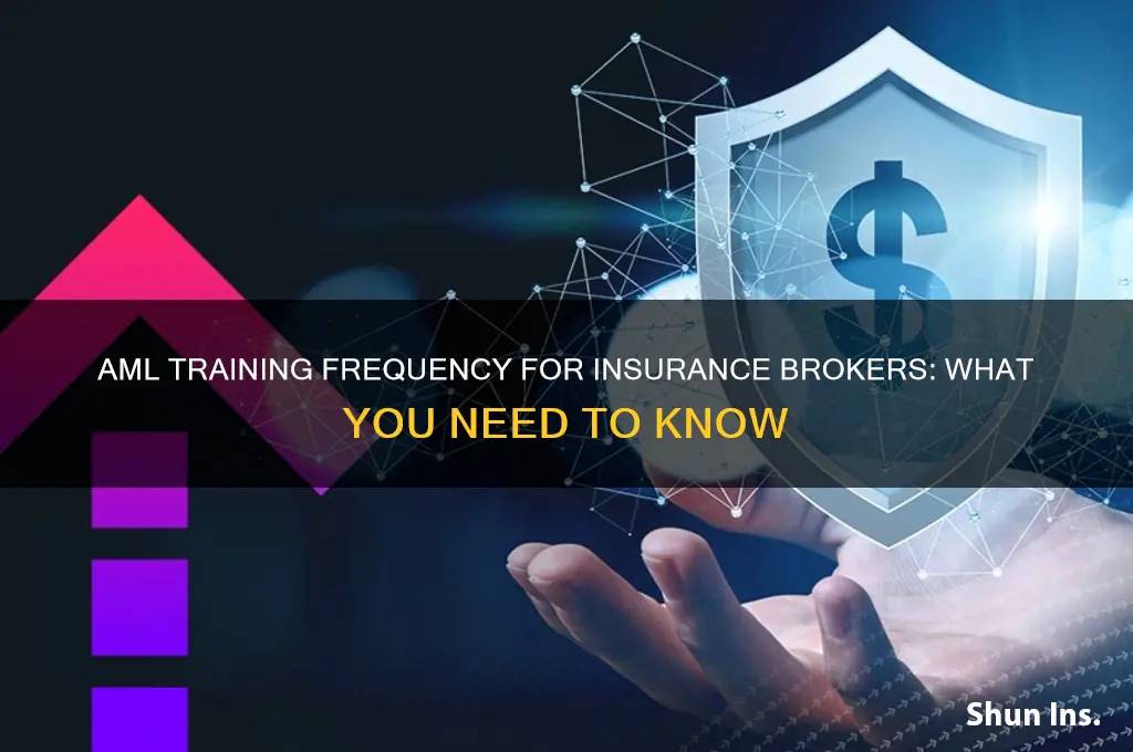 how often does an insurance broker do the aml training