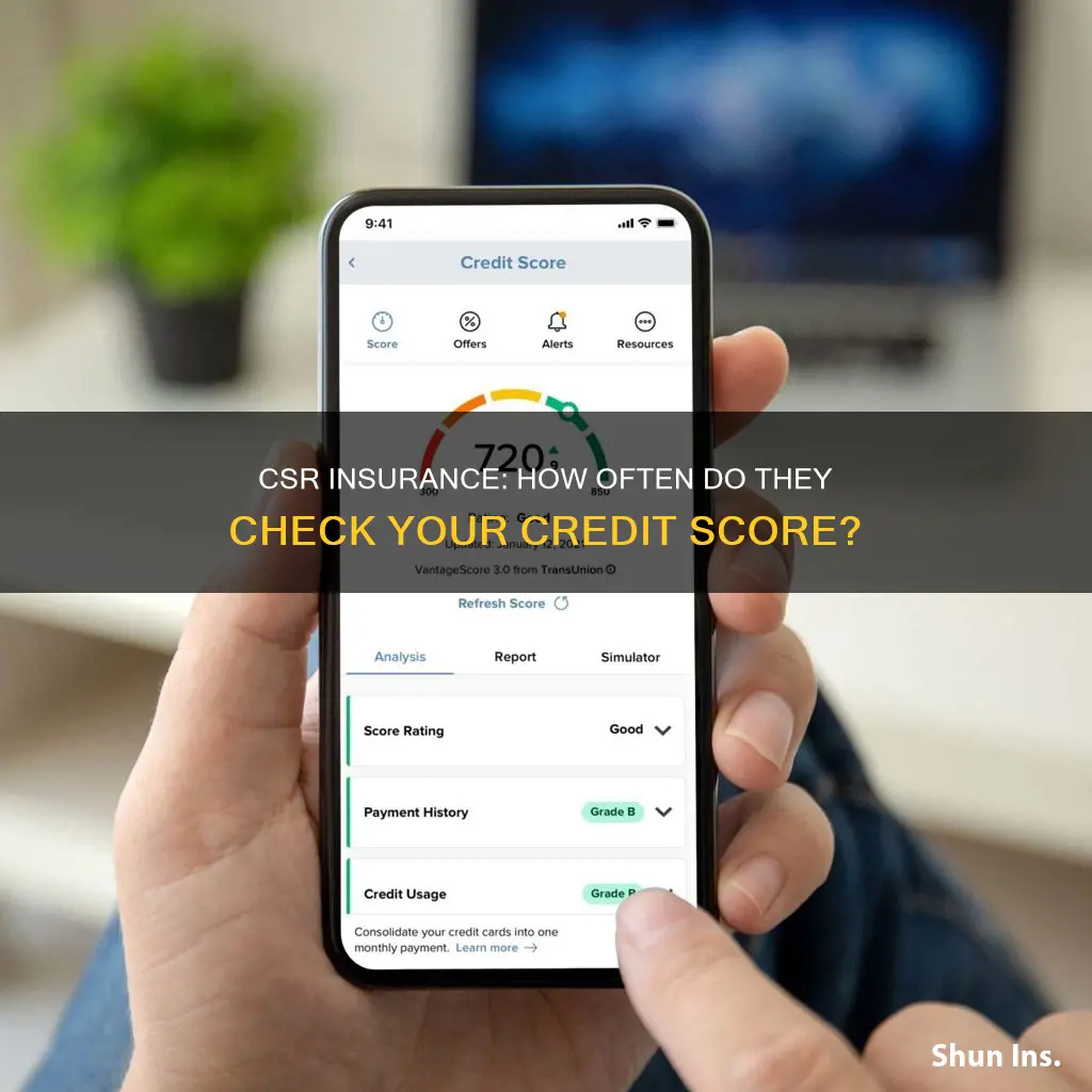 how often does csr insurance check your credit score