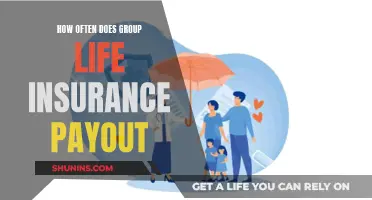 Group Life Insurance: Payout Frequency and What to Expect