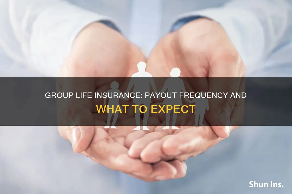 how often does group life insurance payout